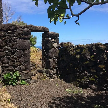 Casa Do Alto Gospodarstwo wiejskie