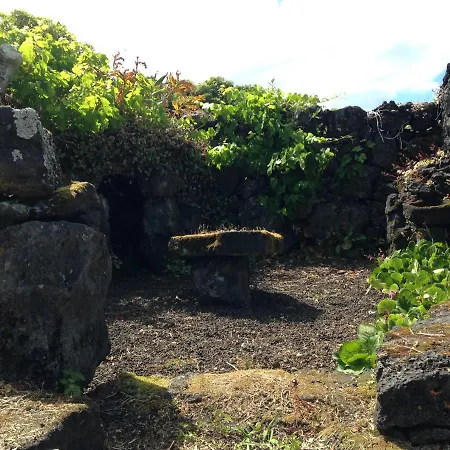 Casa Do Alto Country house Santo Antonio (Pico Island)