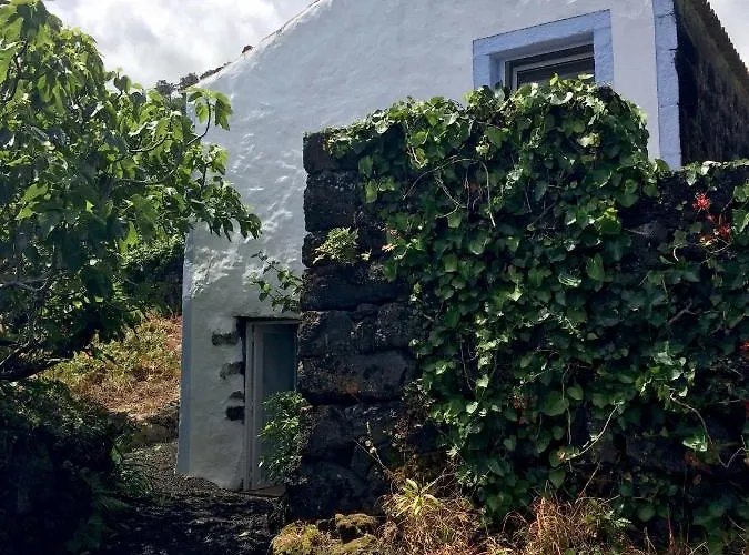 Gospodarstwo wiejskie Casa Do Alto