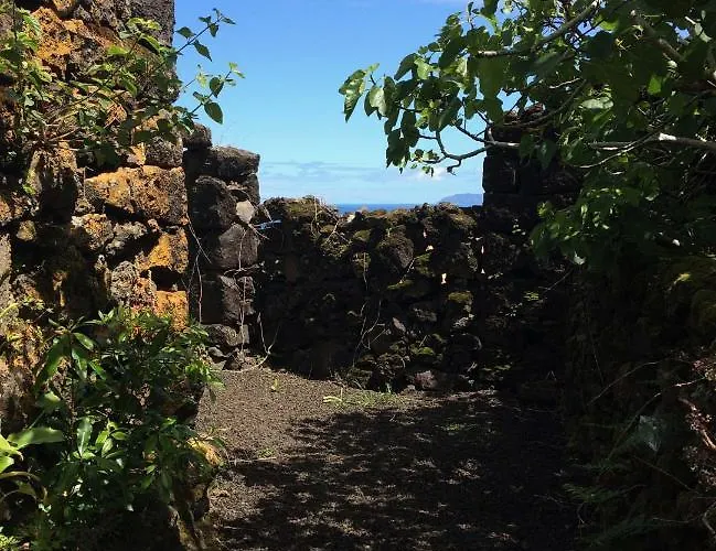 Casa Do Alto Gospodarstwo wiejskie Santo Antonio (Pico Island)