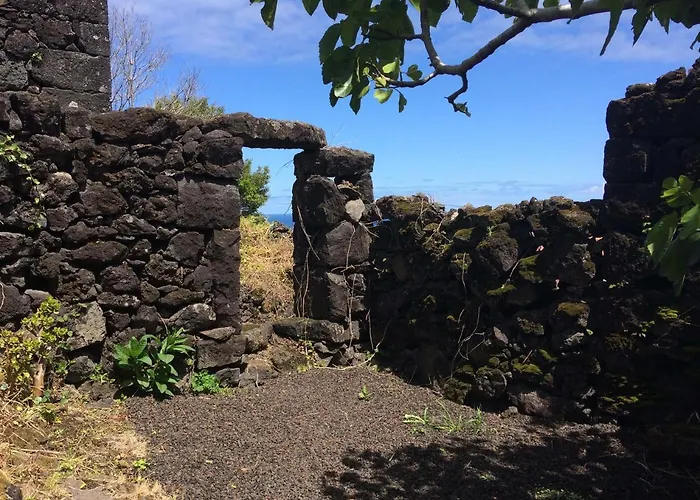 Casa Do Alto Gospodarstwo wiejskie