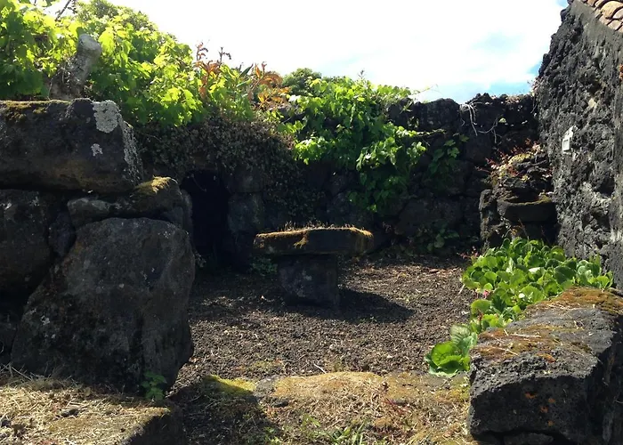 Casa Do Alto Gospodarstwo wiejskie Santo Antonio (Pico Island)